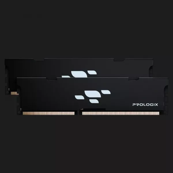 Оперативна памʼять Prologix Black DDR5 32GB 2x16GB 5600MHz (PRO32GB5600B5K)