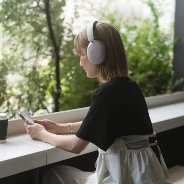 Навушники Final Audio UX1000 (Gray)