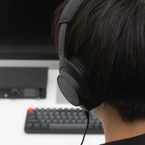 Навушники Final Audio UX5000 (Black)