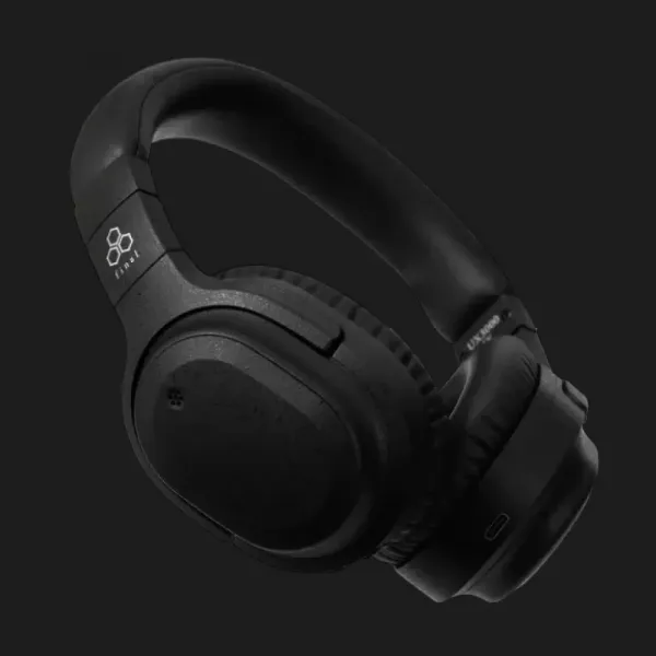 Навушники Final Audio UX3000 SV (Black)