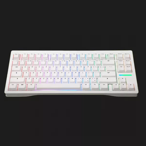 Клавіатура Wooting 80HE Zinc (White) (EU)