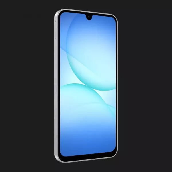 Samsung Galaxy A17 8/256GB (Gray) (Standard)
