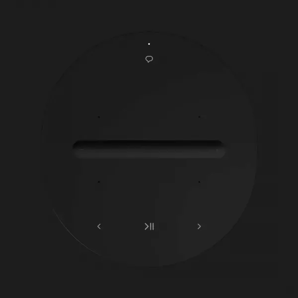 Акустична система Sonos ERA 100 (Black)