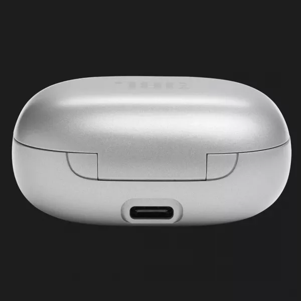 Навушники JBL Live Flex (Silver)