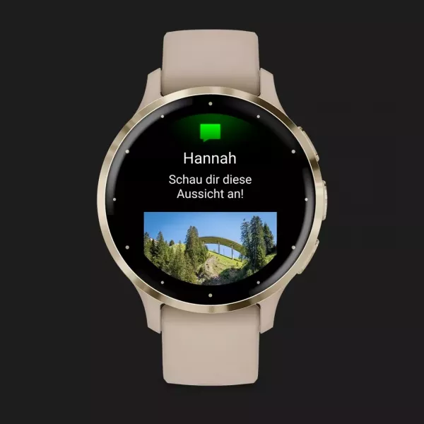 Garmin Venu 3S Soft Gold Stainless Steel Bezel with French Gray Case and Silicone Band