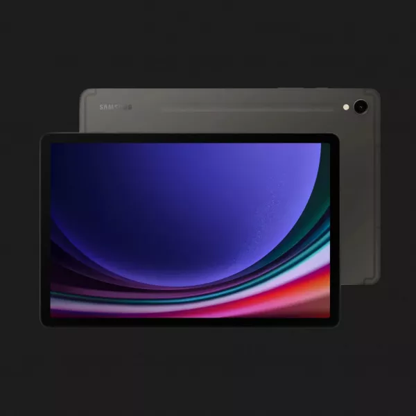 Планшет Samsung Galaxy Tab S9 12/256GB Wi-Fi (Graphite) (Standard)