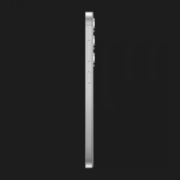 Samsung Galaxy S24 8/256GB (Marble Gray) (Standard)