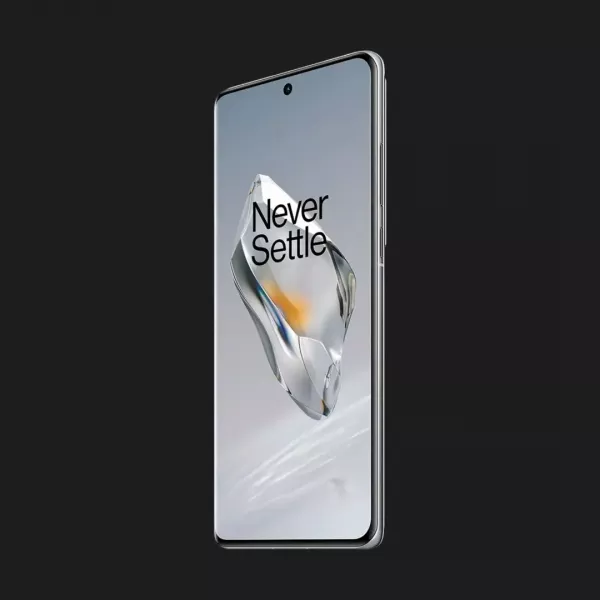 OnePlus 12 24/1TB (Silver) (Standard)