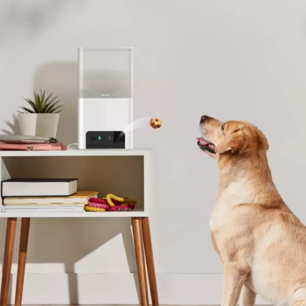 Інтерактивна HD камера Petcube Bites 2 Lite (Silver)