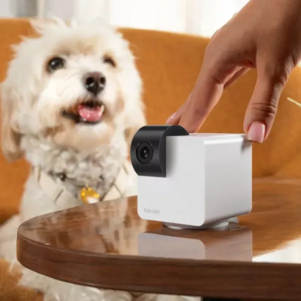 Компактна HD камера Petcube Cam 360 (White)