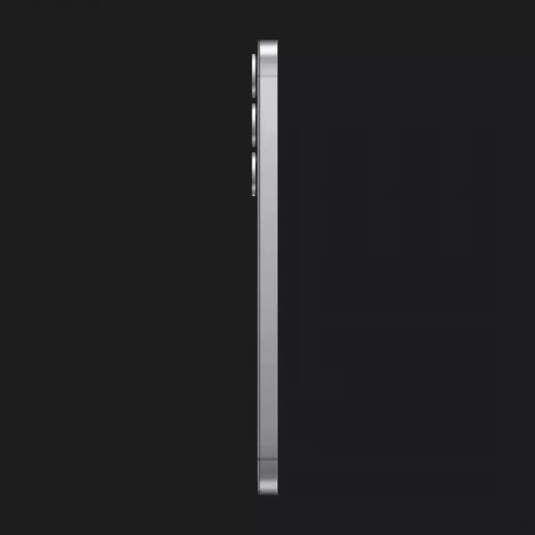 Samsung Galaxy S25 12/128GB (Silver Shadow) (S931) (Standard)