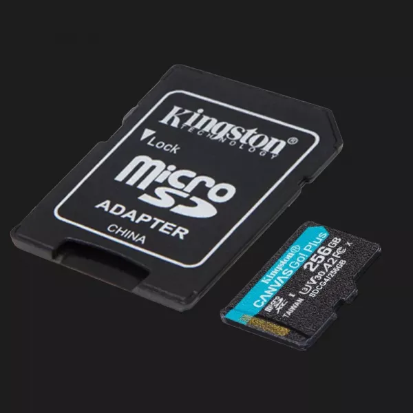 Карта пам'яті Kingston Canvas Go Plus Micro SDXC 256GB (SDCG4/256GB)