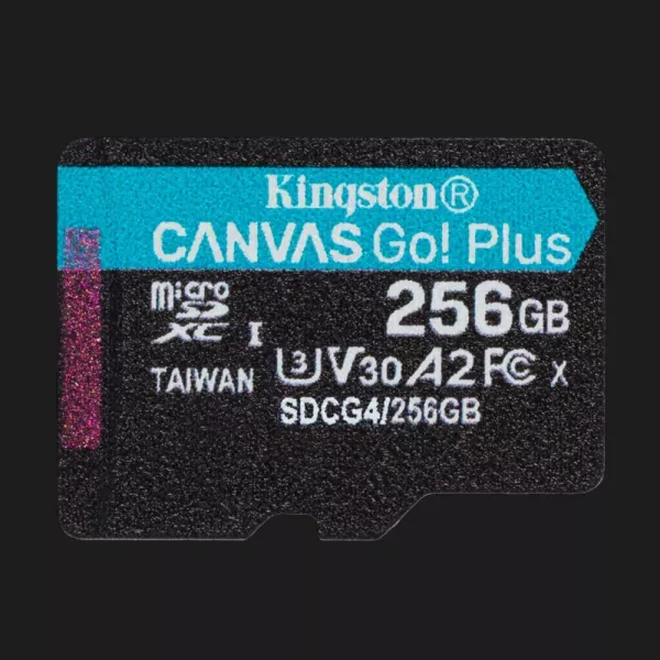Карта пам'яті Kingston Canvas Go Plus 256GB (SDCG4/256GBSP)