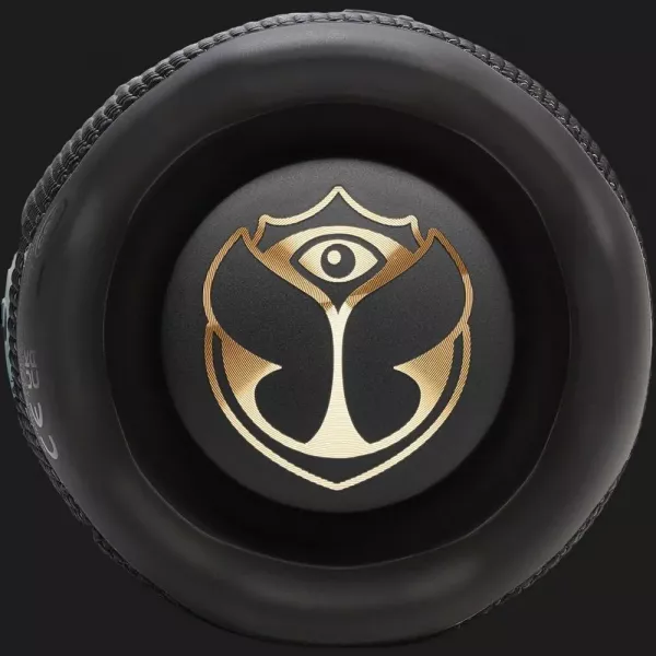 Портативна акустика JBL Flip 7 (Tomorrowland Edition)