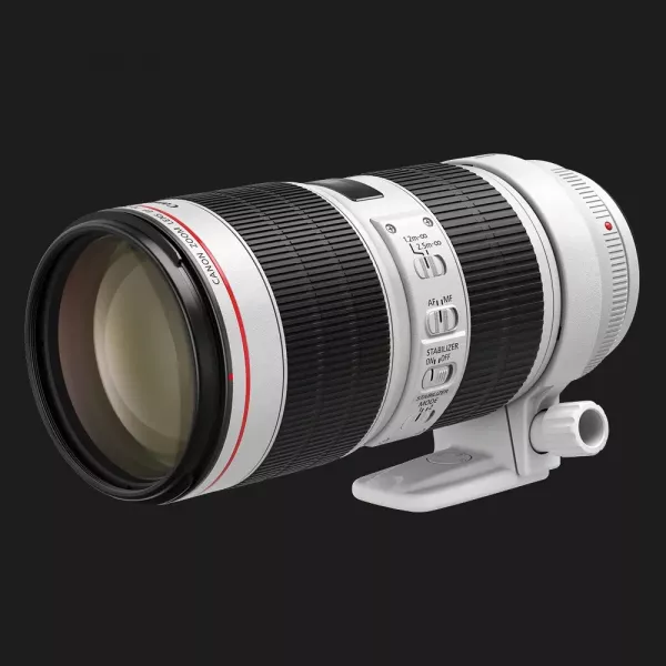 Довгофокусний об'єктив Canon EF 70-200mm f/2.8 L IS III USM (3044C005) (Standard)