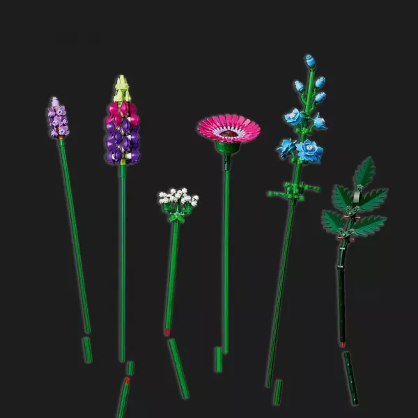 Конструктор LEGO Botanicals Букет польових квітів (10313)