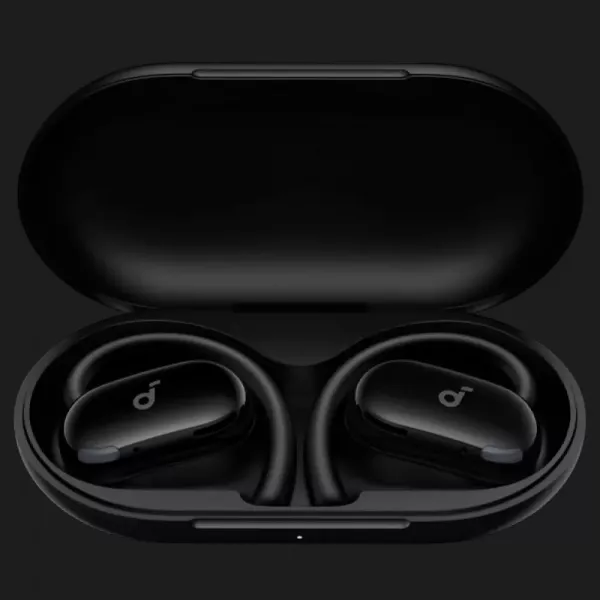 Навушники ANKER SoundСore V20i (Black)