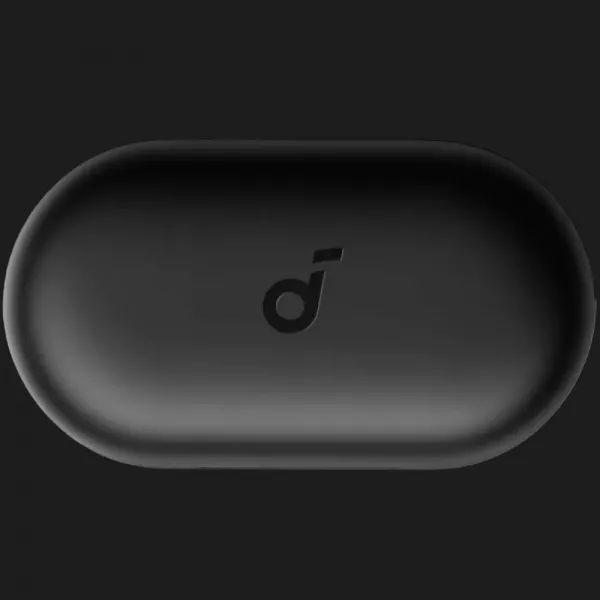 Навушники ANKER SoundСore V20i (Black)