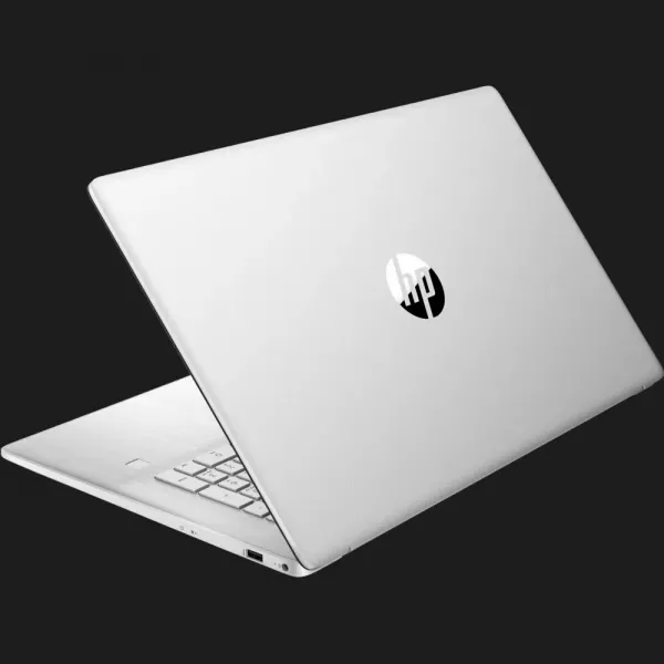 Ноутбук HP 17-cp0000 17,3" (AMD Ryzen 3/32GB/1TB (SSD)/AMD Radeon Graphics) (4Z2M24EA) (Standard)